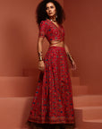 Beautiful Red Printed Lehenga Choli Set